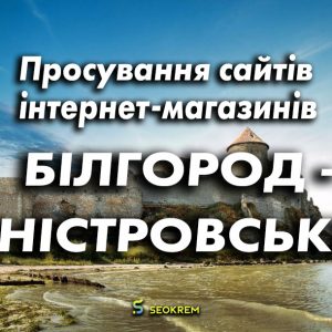 Просування сайтів, інтернет-магазинів та SaaS в Білгород-Дністровському