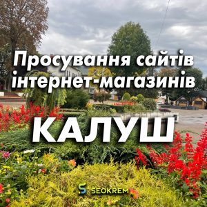 Продвижение сайтов, интернет-магазинов и SaaS в Калуше