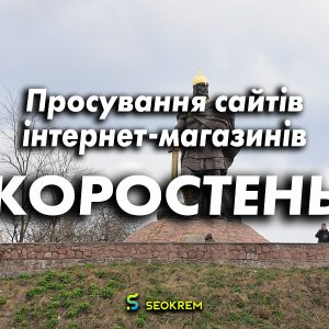 Продвижение сайтов, интернет-магазинов и SaaS в Коростене