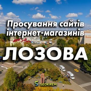 Продвижение сайтов, интернет-магазинов и SaaS в Лозовой