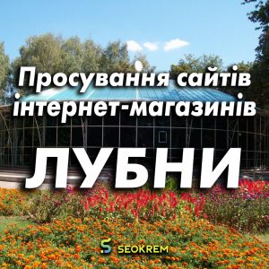 Продвижение сайтов, интернет-магазинов и SaaS в Лубнах