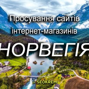 Продвижение сайтов, интернет-магазинов и SaaS в Норвегии