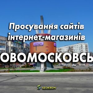 Продвижение сайтов, интернет-магазинов и SaaS в Новомосковске