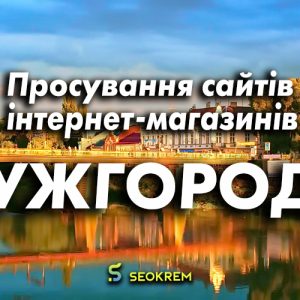 Продвижение сайтов, интернет-магазинов и SaaS в Ужгороде