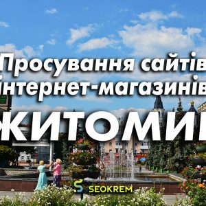 Продвижение сайтов, интернет-магазинов и SaaS в Житомире